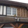 Restauration d'un chien assis